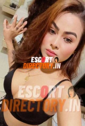 Prisha ludhiana escort service
