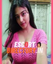 Vinita Call Girls Service The perfect name of Visa